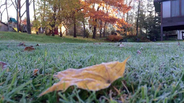 frost-freeze-vo-1111t071504.jpg 