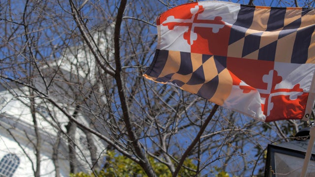 Maryland Flag in front of the State House 