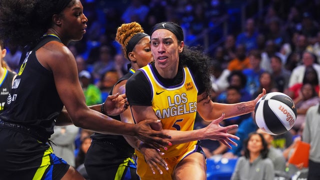 Sparks Wings Basketball 